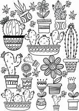 Cactus Coloring Pages Printable Adult Kleurplaat Cute Succulent Colorear Para Popshopamerica Easy Mandalas Flower Plantas Sheets Book Kids Board Plant sketch template