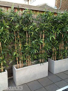 images  bamboo planter  pinterest bamboo planter