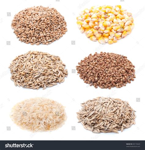 separate cereals wheat corn barley buckwheat rice oats stock