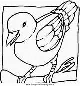 Uccelli 2426 sketch template