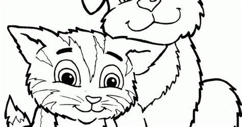 color dogs  cats cute cat  dog coloring pages printable animal