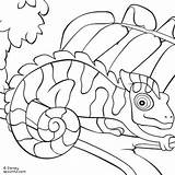 Coloring Pages Chameleon Camouflage Python Ball Reptiles Print Kids Sheets Mixed Clipart Chameleons Lionni Leo Reptile Getcolorings Clip Animal Color sketch template