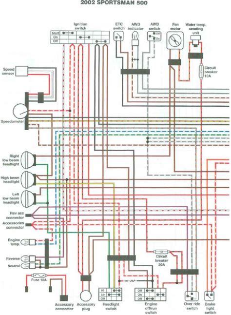 raysbaseball wiring cat  wiring diagram