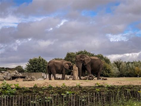 safaripark beekse bergen im niederlaendischen tilburg