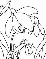 Spring Flowers Snowdrop Coloring Handipoints Pages Drawings Flower Drawing Cliparts Clipart Print Primarygames Printing Clipartbest Cat Printables Inc 2009 Cool sketch template