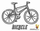 Coloring Pages Bicycle Popular Comments Coloringhome sketch template