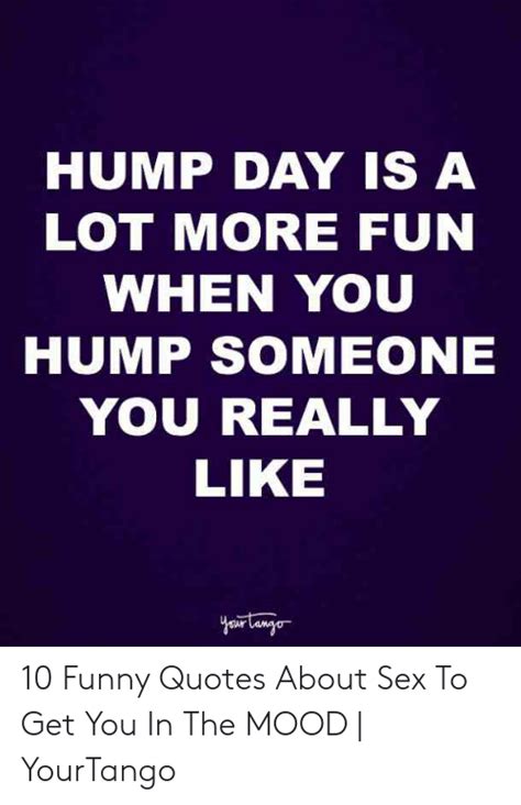 🐣 25 Best Memes About Sexy Hump Day Meme Sexy Hump Day Memes