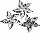 Samoa Vector Illustrations Flower Clip Tribal Plumeria Tattoo sketch template