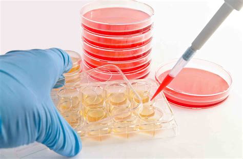 bio connect supplier    cell culture products