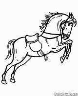 Cavalo Pau Circo Colorir Cavalos sketch template
