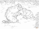 Coloring Porcupine Baby North American Pages Supercoloring Para Colorear Dibujo Printable Con Dibujos Drawing Realistic Desde Guardado sketch template