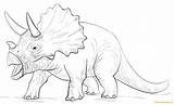 Triceratop Coloring Pages Dinosaur Color Online Print Printable sketch template