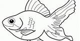 Ikan Hewan Mewarnai Kartun Bestkartun Mewarna Lele Sketsa Binatang Sumber sketch template