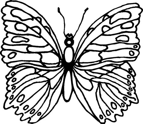 butterfly printouts   butterfly printouts png images