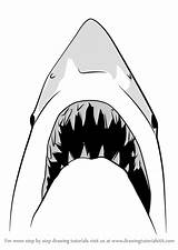 Shark Jaws Draw Drawing Step Easy Animals Drawings Sharks Great Kids Drawingtutorials101 Tutorials Other Learn Sketches Animal Choose Board sketch template