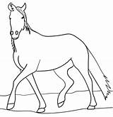 Cavalo Vão Atividade Amar Certeza Toda Elogiar Aplicou Miúdos Divertida Você sketch template