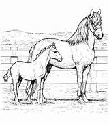 Coloring Horse Indian Pages Getdrawings Native sketch template