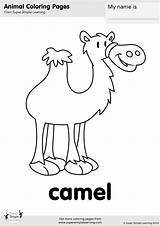 Camel Coloring Animal Simple Super Learning Animals Farm Flashcards Worksheets Esl Kindergarten Colouring Tons Pages sketch template