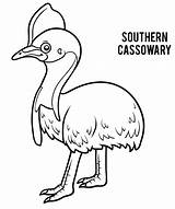 Coloring Cassowary Lucario sketch template