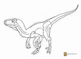Coloring Velociraptor Pages Raptor Dinosaur Jurassic Husband Printable Blue Wife Colorin Getcolorings Color Getdrawings Clipart Colorings Print Library Popular Sketch sketch template