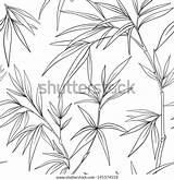 Seamless Bamboo Pattern Vector Japanese Style Outline sketch template