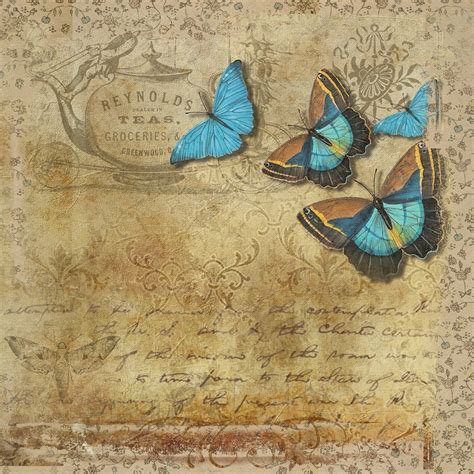 butterfly vintage handwritten  image  pixabay