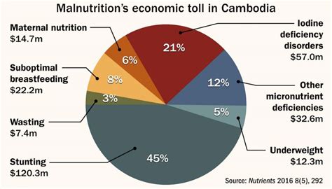 ki media khmer intelligence nutrition shortfalls