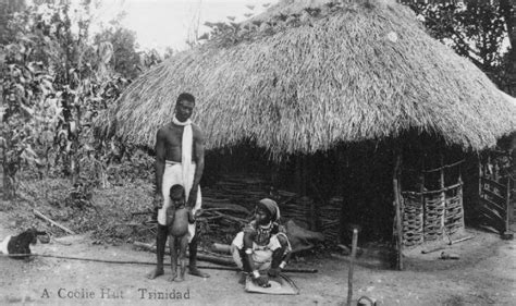trinidad trinidadian history