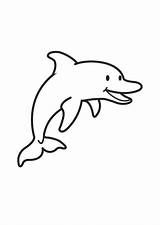 Dolfijn Dolfijnen sketch template
