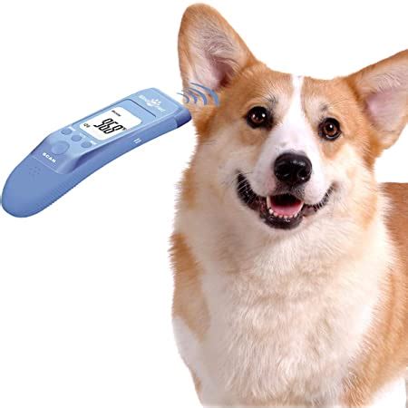 amazoncom hzran cat  dog ear temperature monitor pet