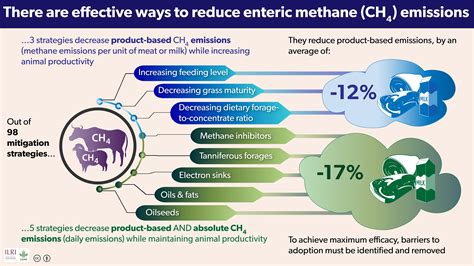 effective ways  reduce enteric methane emissions  livestock matter