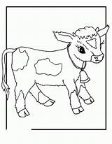Vaca Leche Pintarcolorear sketch template