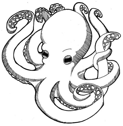 printable octopus coloring pages  kids animal coloring pages