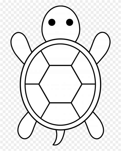 images  easy coloring pages easy cute turtle drawing clipart
