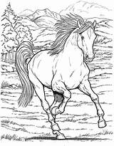 Cowgirl Coloring Pages Horse Printable Getcolorings Amazing Color sketch template