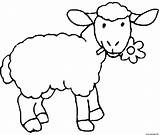 Mouton Schafe Mange Imprimer Schaf Ausmalbilder Ausmalbild Moutons sketch template