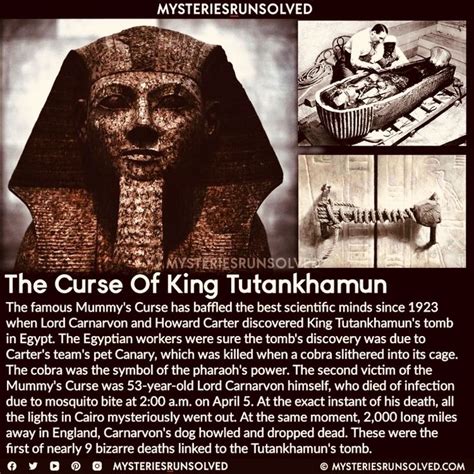 the curse of king tut true interesting facts creepy facts