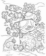Poissons Reef Coloriage Corail Arrecifes Ausmalbilder Exotiques Fische Arrecife Poisson Dover Imprimer Nageant Colorier Corals Coloriages Mandala Seidenmalerei Erwachsene Visiter sketch template