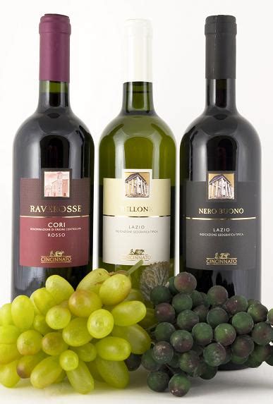 understanding italian wine labels