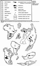 Pangea Worksheet Worksheets Evidence Tectonics Tectonic Tes Boundaries sketch template