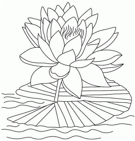 lotus flower coloring pages coloring home