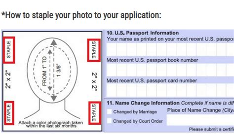 staple passport photo tips  attach  application
