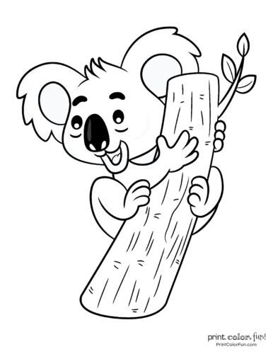 cute koala coloring pages  printcolorfuncom