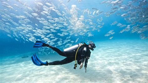 scuba diving   ascend safely  surface correctly diving info