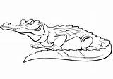 Krokodil Cocodrilo Ausmalen Ausmalbilder Krokodyl Krokodile Reptiles Malvorlagen Colouring Kolorowanka Zeichnen Supercoloring Crocodiles Alligator sketch template
