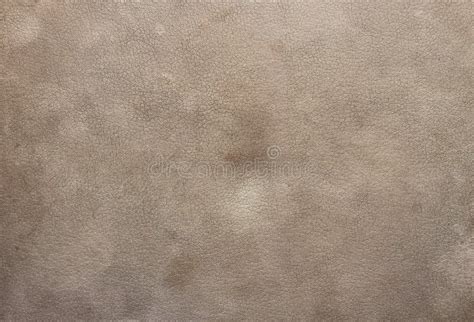 background   dirty skin stock photo image  material fashion