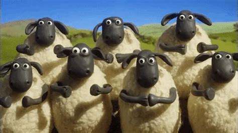 happy birthday ok shaun the sheep aardman animations