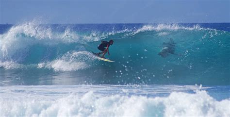surfing  reunion island    lost  test