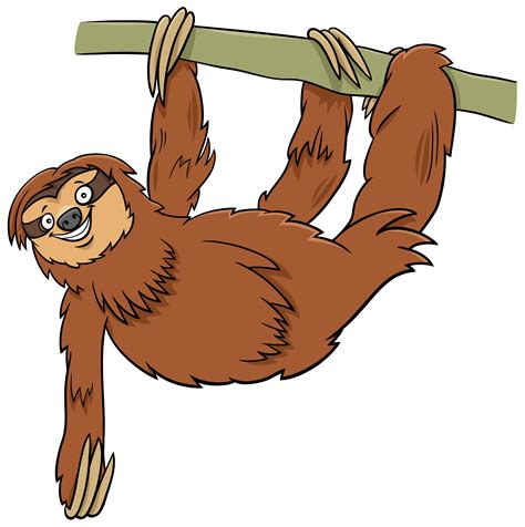 funny sloth cartoon animal character  branch  vector art