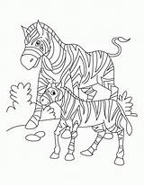 Coloring Pages African Animals Popular Animal Sheets sketch template